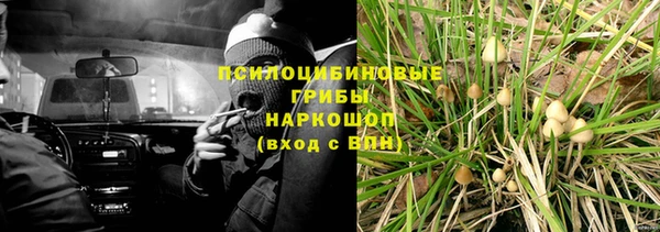 ALPHA PVP Аркадак